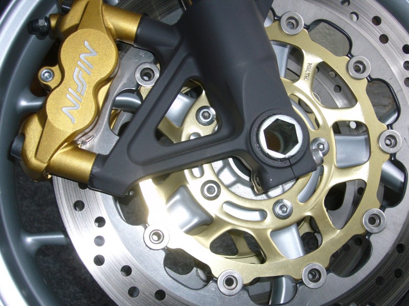 Tiger 1050 - Foto ZSO